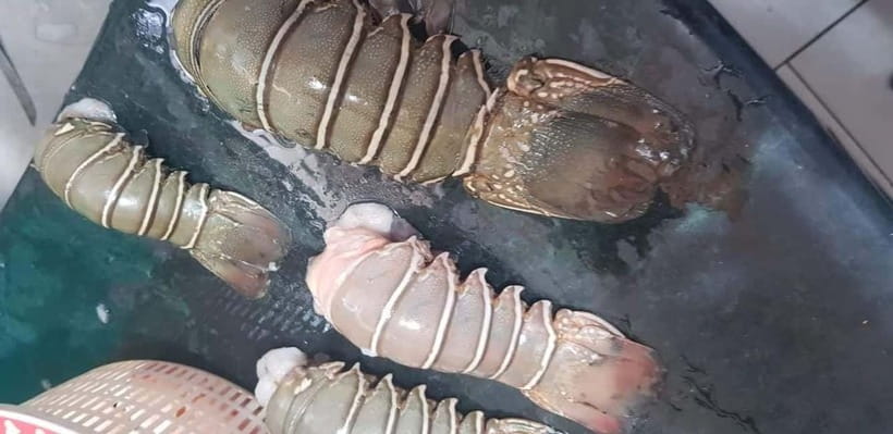 Mumbai Coastal Cooking: From Fishing Net to Flavourful Plate - Coastal beach views, docks, and the fish market where conversations happen