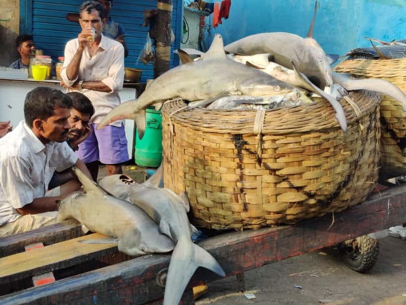 Mumbai Coastal Cooking: From Fishing Net to Flavourful Plate - The cooking class: fish curry, bread, and sour-spicy flavors in a home kitchen