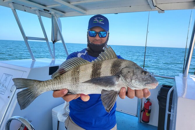 Naples Backwater/Calm Bay Fishing - What Fish You Can Target, and How to Think About Catching