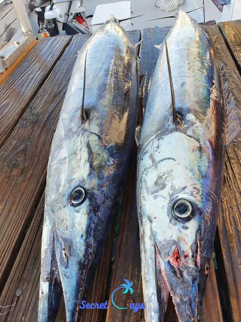 Nassau: Sport-fishing private charter . - Offshore, inshore, and bottom fishing: how the captain adjusts