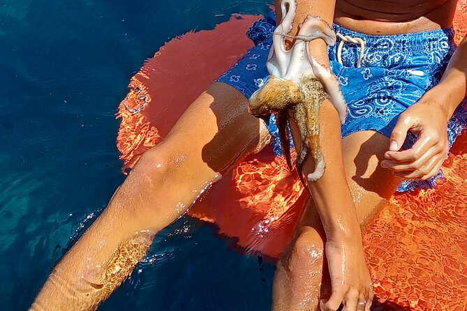 Naxos private fishing trips, lunch on board & island hopping - Who this fits best: families, beginners, and serious anglers