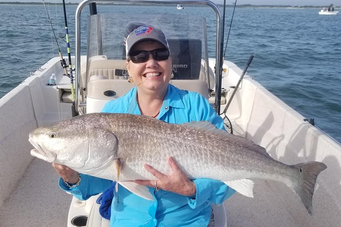 New Smyrna Inshore Fishing Charters - Wildlife on the Route: Dolphins, Birds, and Manatees