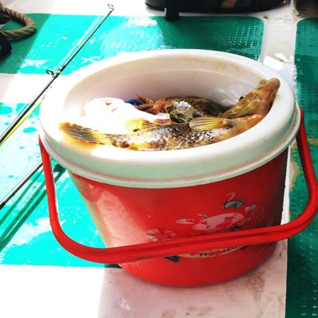 Nha Trang - Private Fishing tour - Tips to make your 6 hours feel effortless