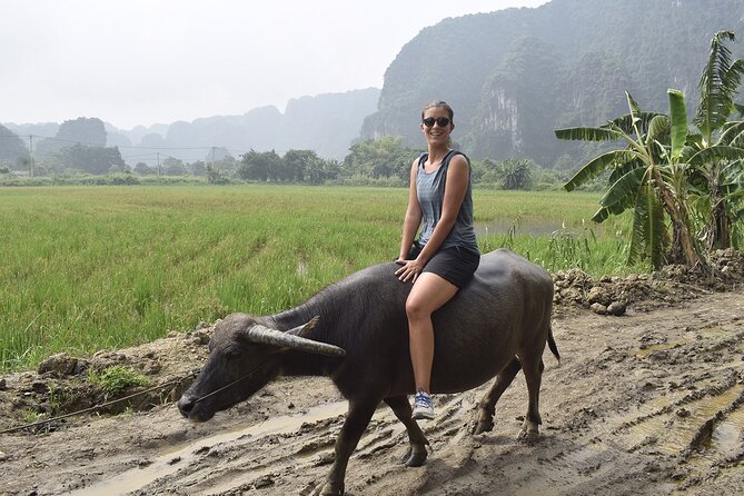 Ninh Binh eco group tour - Buffalo riding, rice planting, fishing - Rice fields time: planting, harvesting tasks, and getting your hands dirty