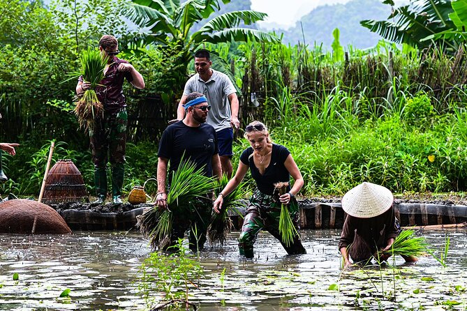 Ninh Binh eco group tour - Buffalo riding, rice planting, fishing - Price and logistics: where the $41.41 really goes