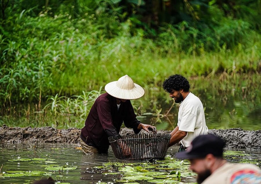 Ninh Binh: Rice planting and fishing by basket tour - Key things you’ll remember about this Ninh Binh tour