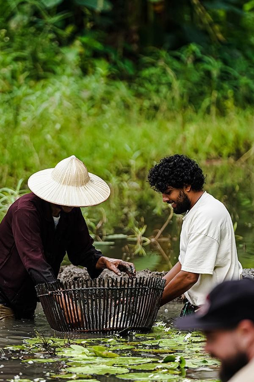 Ninh Binh: Rice planting and fishing by basket tour - Waterfall bathing plus Buffalo Cave: finishing with nature