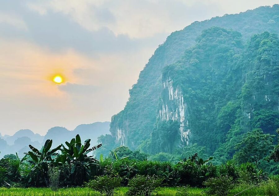 Ninh Binh: Rice planting and fishing by basket tour - Afternoon tour at 14:00: how to fit it into your Ninh Binh plans