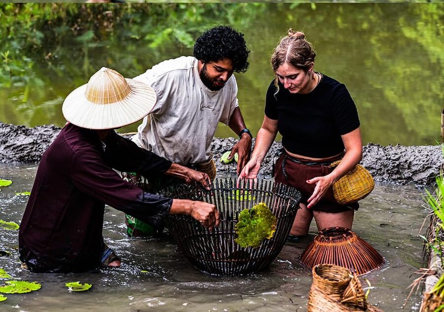 Ninh Binh: Rice planting and fishing by basket tour - Price and what you really get for $25 per person