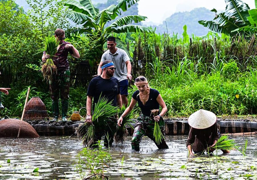 Ninh Binh: Rice planting and fishing by basket tour - Catching fish with the nom basket tool