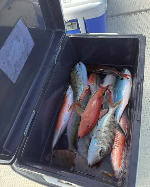 Okinawa: 1/2-Day Private Sea Fishing Charter, Naha w/Pickup - En Route Views and Sea Life: The Part You Don’t Control