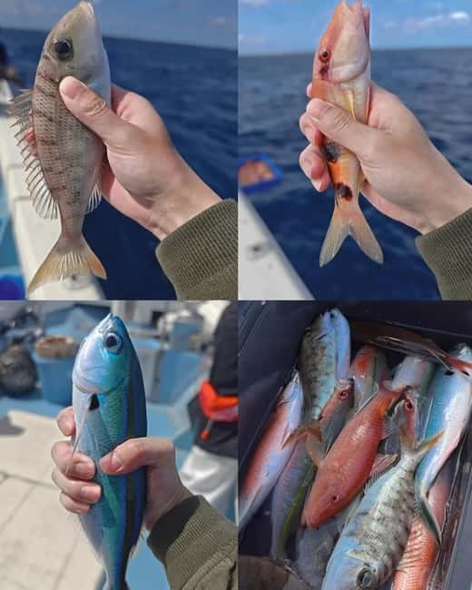 Okinawa: 1/2-Day Private Sea Fishing Charter, Naha w/Pickup - Turning Your Catch Into a Meal: Onboard Grilling or Ichiroya