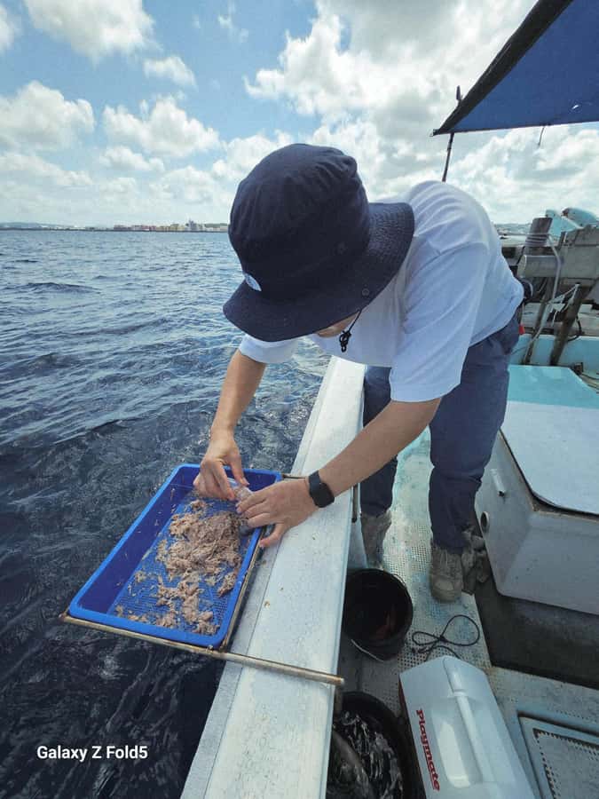 Okinawa: Half-Day Fishing Tour with Local Fisherman - Safety Briefing and Gear: The Stuff You Don’t Have to Bring