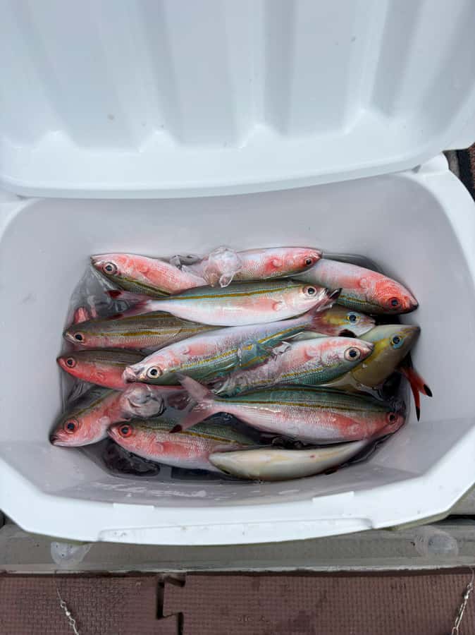 Okinawa: Half-Day Fishing Tour with Local Fisherman - Price and Value: Is $96 Worth It?