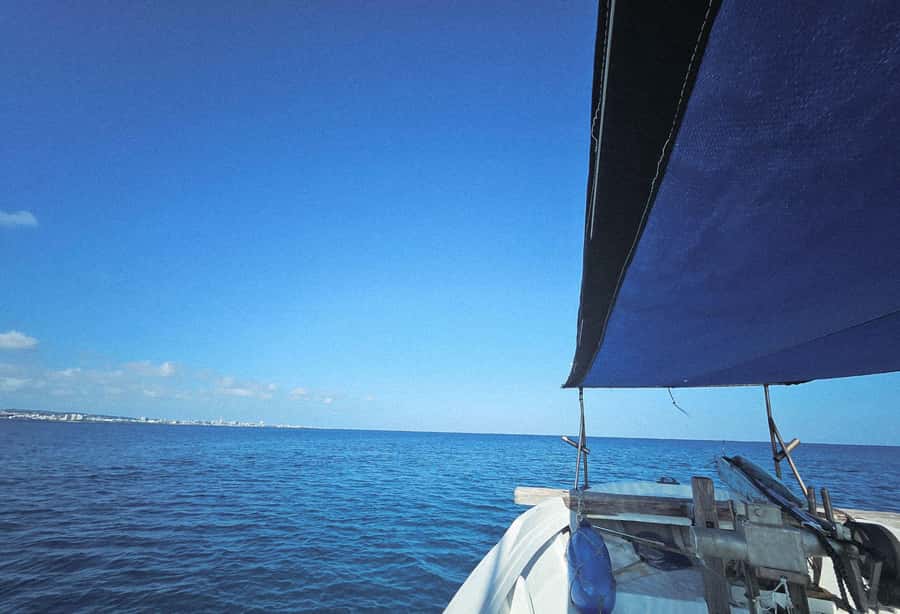 Okinawa: Half-Day Fishing Tour with Local Fisherman - Getting on the Boat: Crew, English Support, and Real-World Care