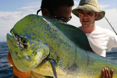 Orlando Deep Sea Fishing Charter - Getting started at 505 Glen Cheek Dr: orientation without wasting fishing time