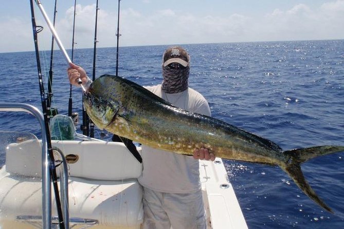 Orlando Deep Sea Fishing Charter - What you might catch: sailfish, wahoo, kings, and the rest of the big cast