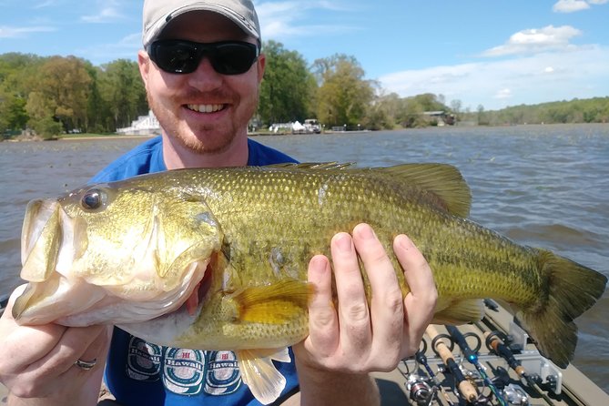 Osprey Fishing Charters: Potomac River Fishing - Private Potomac or Occoquan fishing in one full day