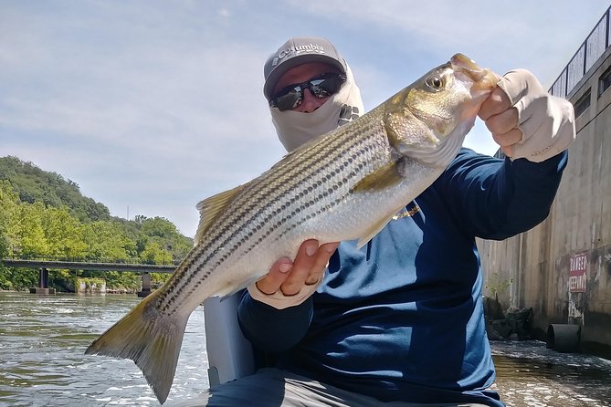 Osprey Fishing Charters: Potomac River Fishing - Beginner-friendly coaching from Captain Rich (and patience when learning)