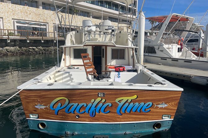 Pacifictime Sports Fishing in Cabos san lucas - Expect whales, dolphins, and sea lions on the same morning