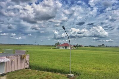 Paddy Field, Fishing Village Sekinchan DAY Tour Lunch (SIC-Shared/Join In Tour) - Rice Factory and Rice Mill Visit: More Than a Photo Stop