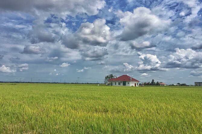 Paddy Field, Fishing Village Sekinchan DAY Tour Lunch (SIC-Shared/Join In Tour) - Seafood Lunch Value: What’s Included, and How to Handle Food Timing