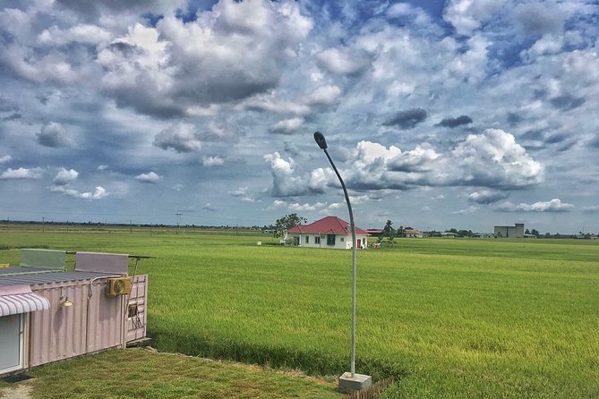 Paddy Field, Fishing Village Sekinchan DAY Tour Lunch (SIC-Shared/Join In Tour) - Rice Factory and Rice Mill Visit: More Than a Photo Stop