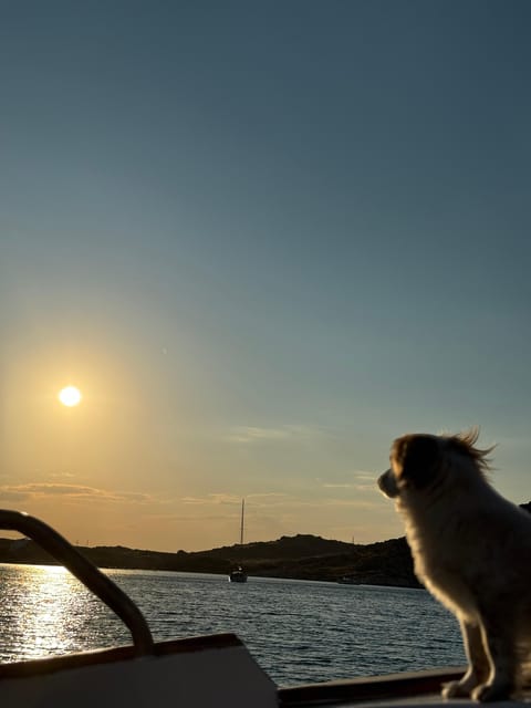 Paros: Highlights Tour with Fishing & Tasting in Naoussa - Agia Kalli and Analypsi Island: A Pretty Finish in Naoussa Bay