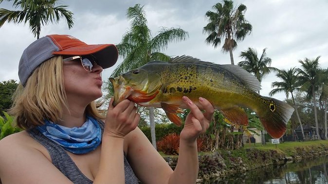 Peacock Bass Fishing Trip in Boynton Beach - Key points to know before you cast