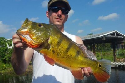 Peacock Bass Fishing Trip in Boynton Beach - Price and what you actually get for it ($354.17 per group)