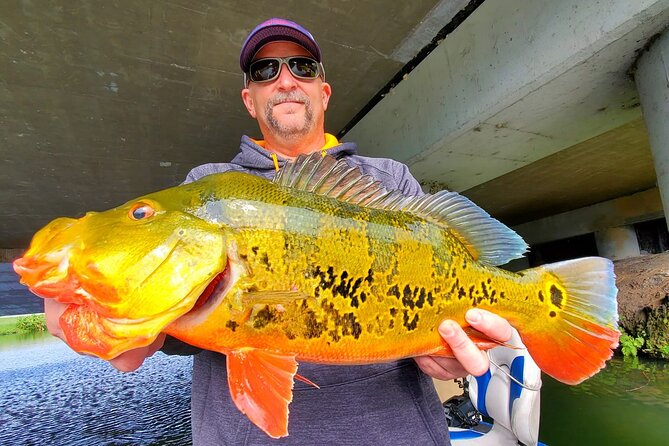 Peacock Bass Fishing Trip near Miami South Beach - Stop 3: Miami Beach Waterways for the Hard-Fighting Peacock Bass Hunt