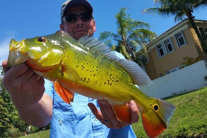 Peacock Bass Fishing Trip near West Palm Beach - Peacock Bass Fishing Near West Palm Beach, Without the Big-Group Chaos