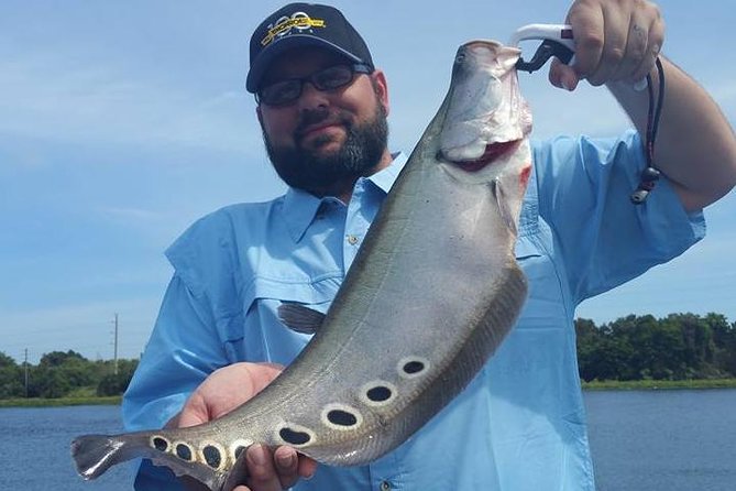 Peacock Bass Fishing Trips near Boca Raton - Stop-by-Stop: How Your Day Flows on Lake Ida