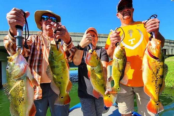 Peacock Bass Fishing Trips near Boca Raton - Price and Value: Why $540 Can Make Sense
