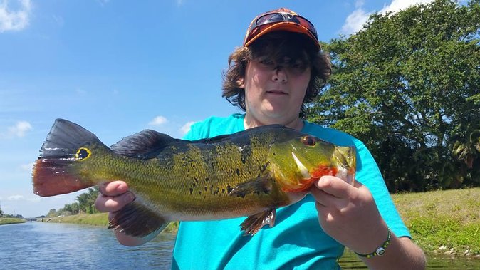 Peacock Bass Fishing Trips Near Key Largo - Step-by-step: from Miami meetup to canal fishing around Homestead