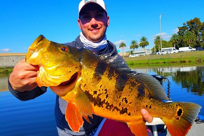 Peacock Bass Fishing Trips Near Miami Florida - Key Highlights I’d Plan Around