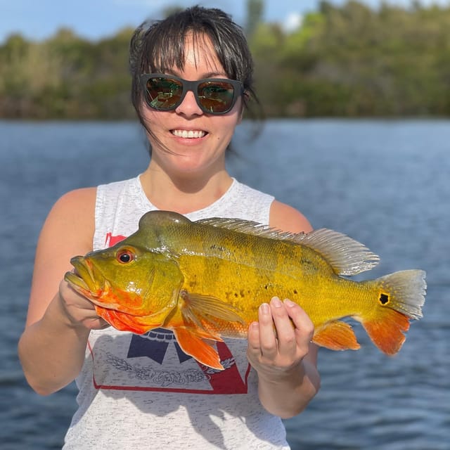 Peacock Bass Fishing Trips Near Miami Florida - Should you book this Peacock Bass trip near Miami?