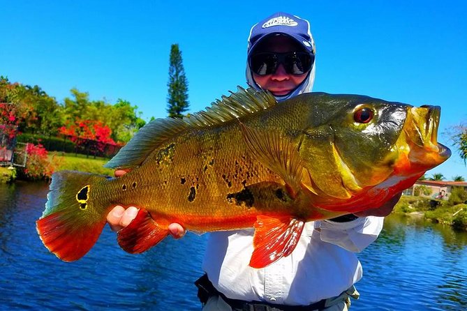 Peacock Bass Fishing Trips Near Miami Florida - Getting to the Dock: Easy Starts From Airport and Downtown
