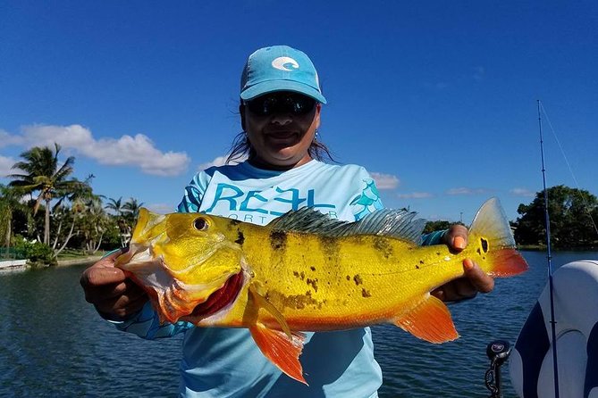 Peacock Bass Fishing Trips Near Miami Florida - From Miami Water to the Blue Lagoon Area