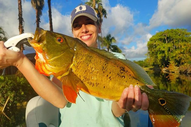Peacock Bass Fishing Trips Near Miami Florida - What’s Included: Gear, Safety, and Even the Cold Drinks