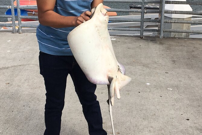 Pier Fishing Tour - San Diego - Getting to Shelter Island and starting your two hours on the pier