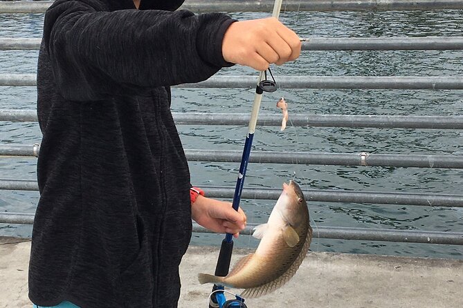 Pier Fishing Tour - San Diego - What catch-and-release pier fishing feels like in real time