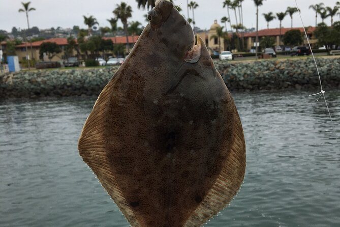 Pier Fishing Tour - San Diego - Weather, fish expectations, and keeping the mood on track
