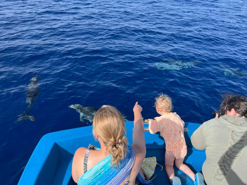 Pizzo: Fishing, Snorkeling, Dolphin Watching - Pizzo’s Coast: Why This Sea Day Feels Different