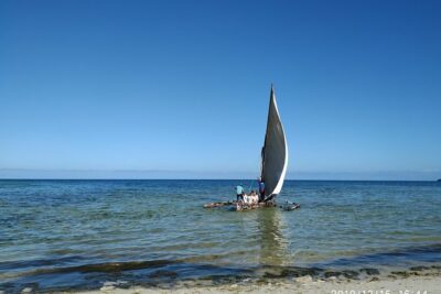 Pongwe Dhow fishing - What you actually learn: sailing skills you can use