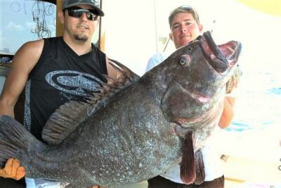 Private 4-Hour Big Game Deep Sea Fishing Charter in Fort Lauderdale - Meeting at Seabreeze Blvd and What the First Hour Feels Like