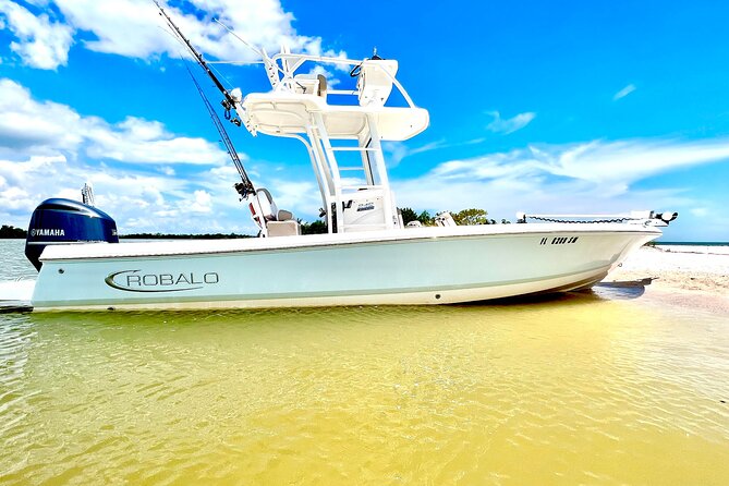 Private 4 Hour Shelling , Fishing and Eco Tour Marco Island FL - Shelling and Beach Time on a Remote Island: More Than a Photo Stop