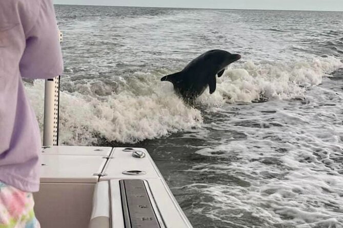 Private 4 Hour Shelling , Fishing and Eco Tour Marco Island FL - Captain Jason’s Style: Why the Trip Feels Smooth