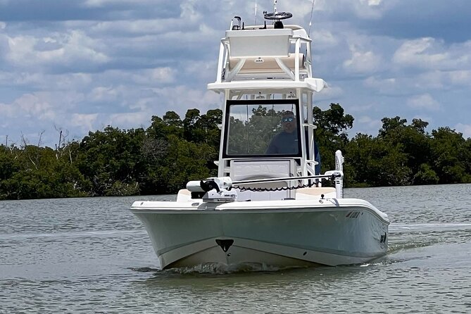 Private 4 Hour Shelling , Fishing and Eco Tour Marco Island FL - Price and Value: Is $675 Worth It?