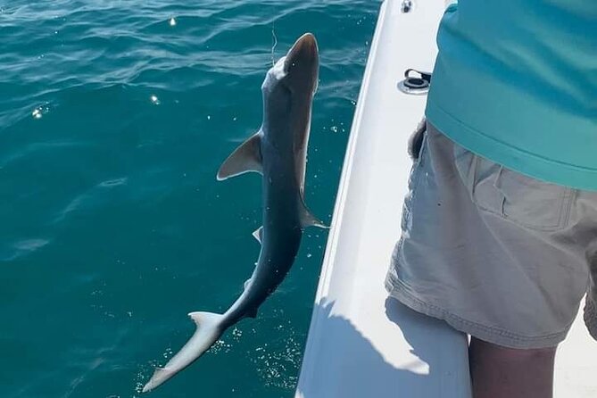 Private 4 hr Fishing Tour with Master Captain Bill Phillips - Sunshine Skyway Bridge as Your First Major Landmark